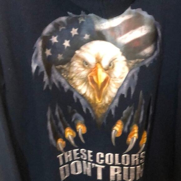 The Bradford Exchange Zip Up Hoodie Med Sweatshirt Flag Bald Eagle USA Skater - Picture 4 of 8